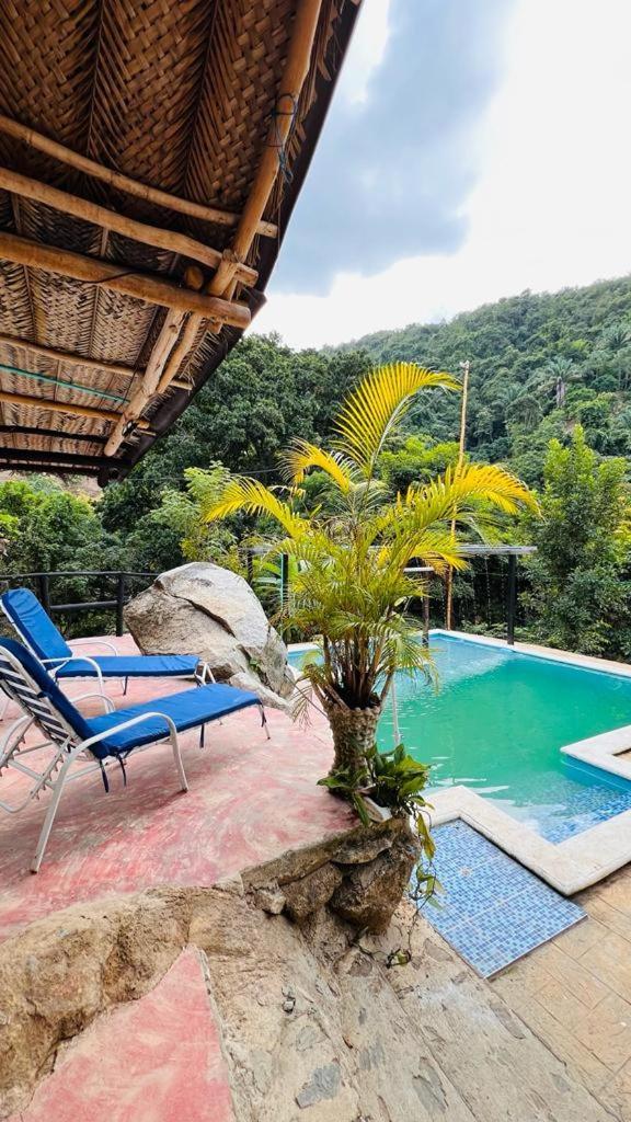 Minca Cabana La Roca Santa Marta  Exteriér fotografie