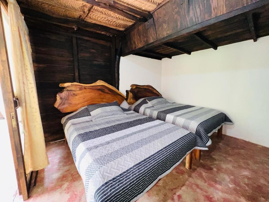 Minca Cabana La Roca Santa Marta  Exteriér fotografie