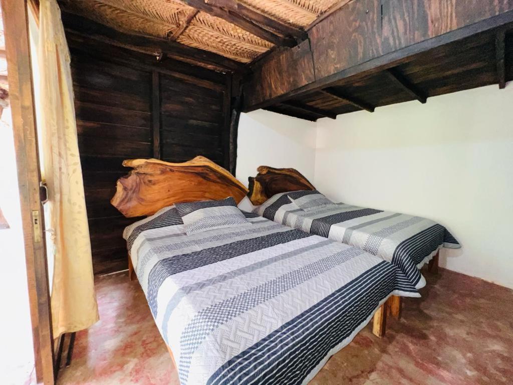 Minca Cabana La Roca Santa Marta  Exteriér fotografie